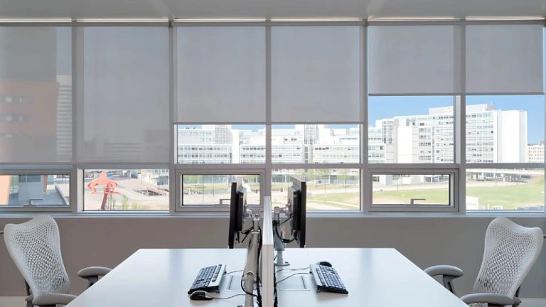 WS Coverings Cortinas
