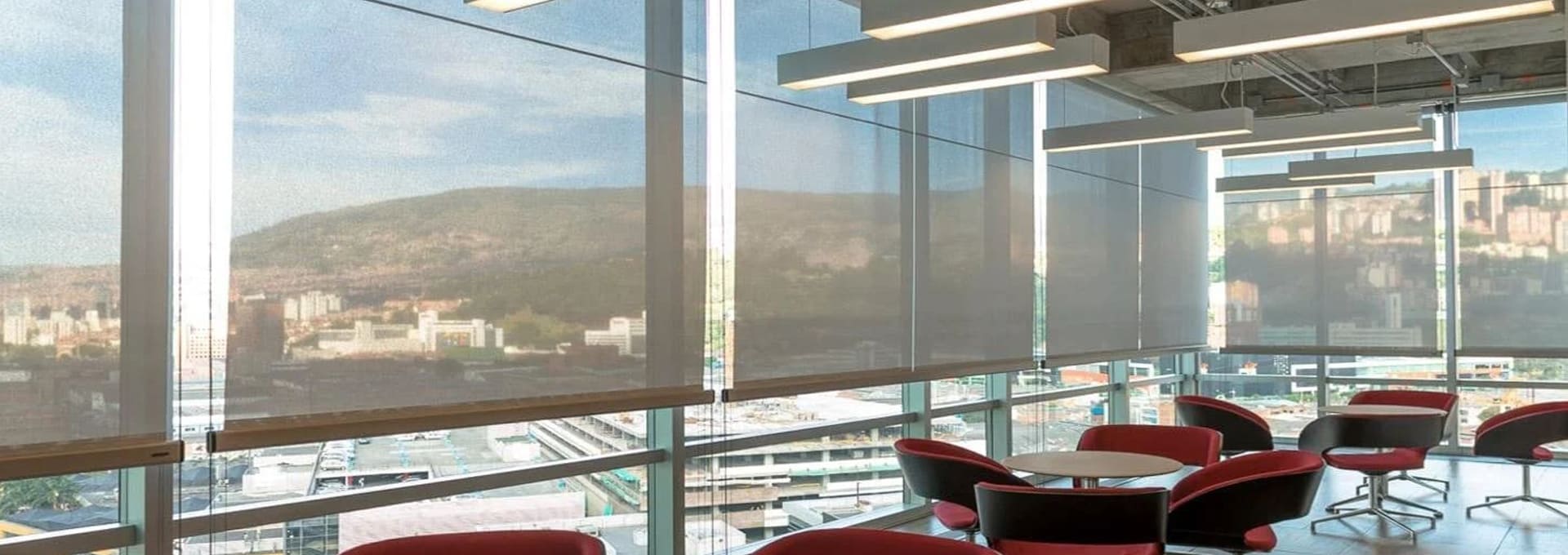 ws coverings cortinas